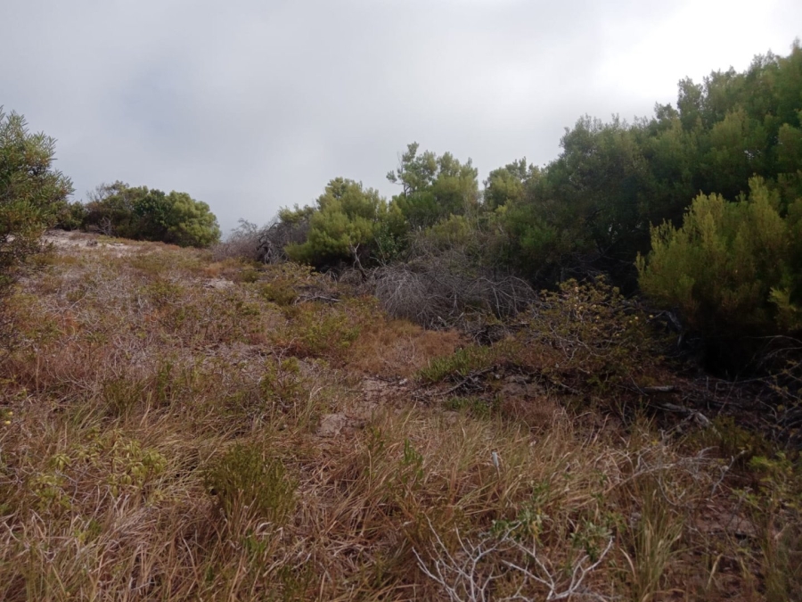 Commercial Property for Sale in Paradise Beach Eastern Cape